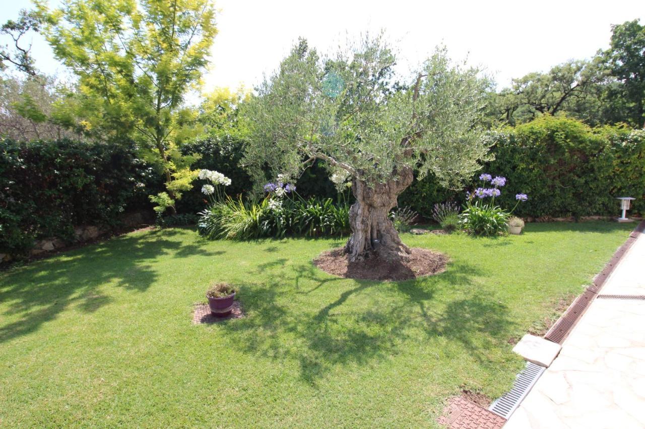 Villa Jalna Chambre, Suites Et Appartement Roquefort-les-Pins Εξωτερικό φωτογραφία